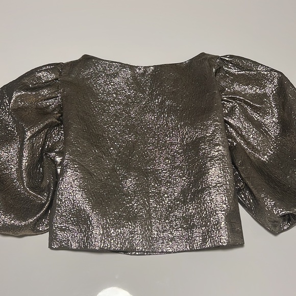 Zara Metallic Crop Top - Picture 9 of 9